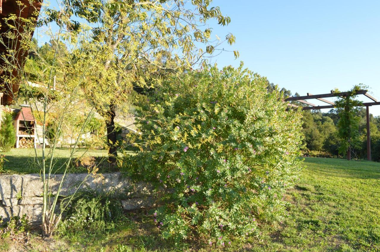 Villa Airinos De Mondariz Esterno foto